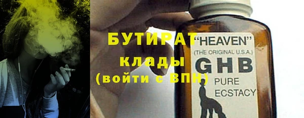 сатива Абинск