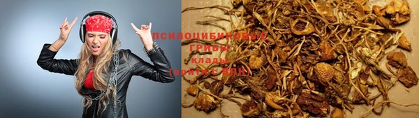 сатива Абинск