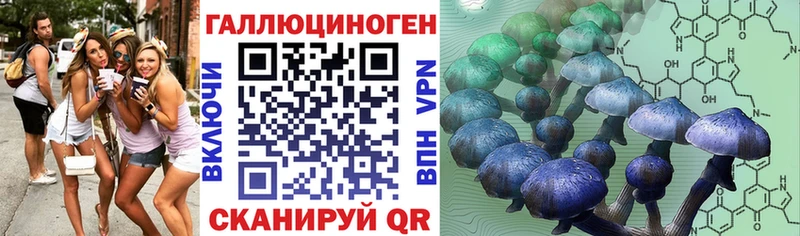 купить   Сафоново  Галлюциногенные грибы прущие грибы 