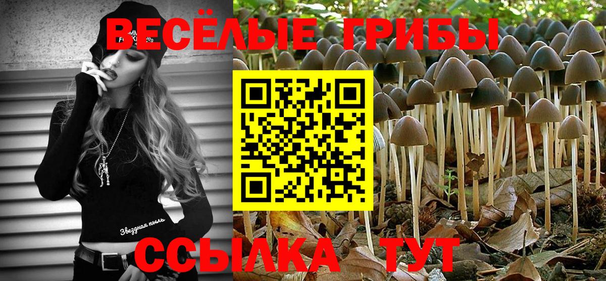 Сафоново  Галлюциногенные грибы мицелий  наркошоп  Галлюциногенные грибы MAGIC MUSHROOMS  Вход с VPN 