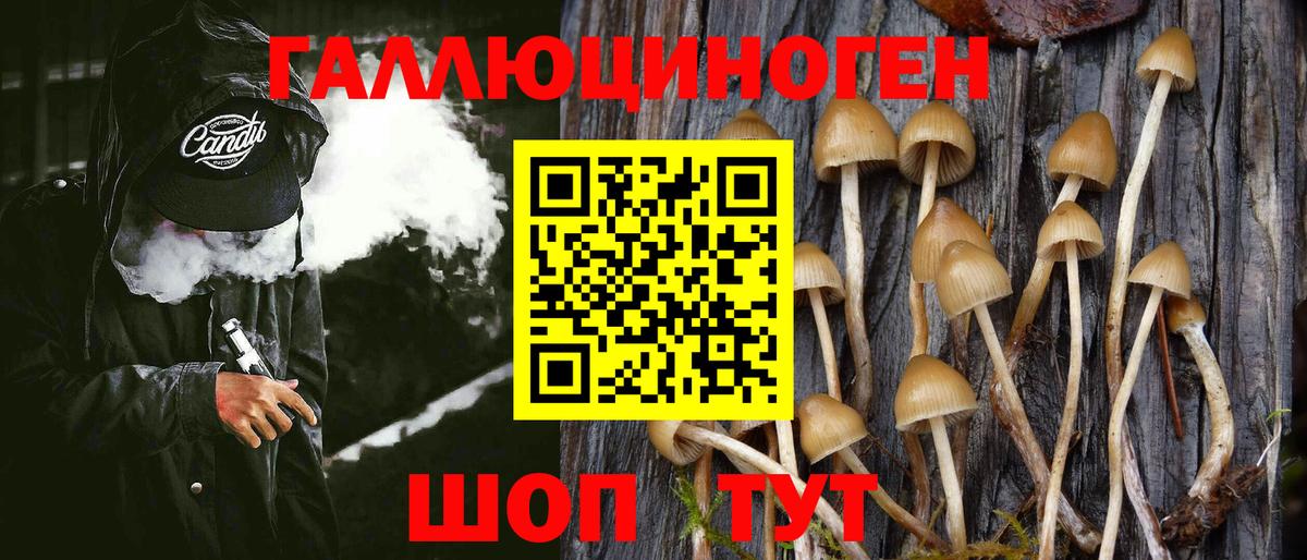 Галлюциногенные грибы MAGIC MUSHROOMS Сафоново